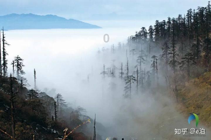 黑枭“教父“-“湾仔之虎“陈耀兴的江湖路